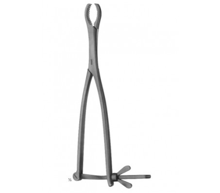 Bone Holding Forceps